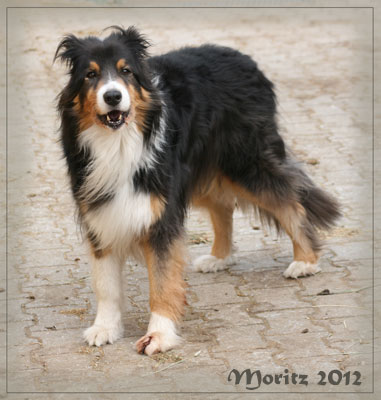 Bilder-29.03.2012-069