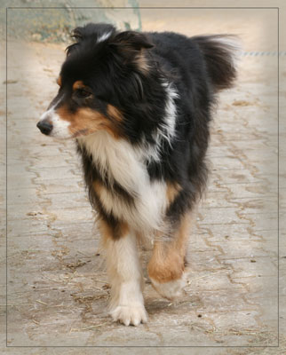 Bilder-29.03.2012-071