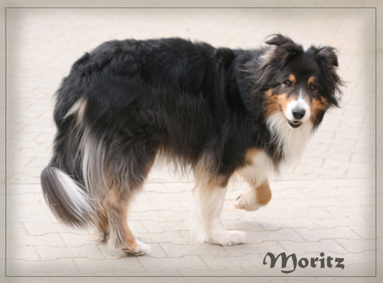 Bilder-29.03.2012-142