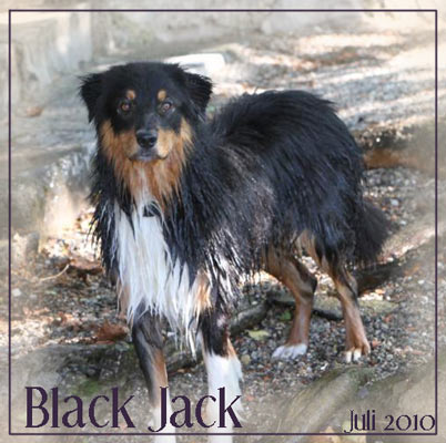 Black-Jack-Juli-20101