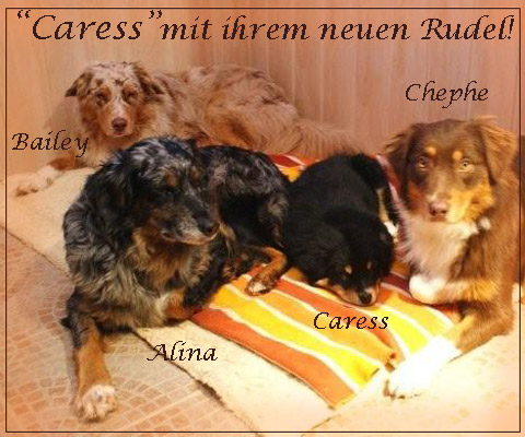 Caress-neues-zuhause