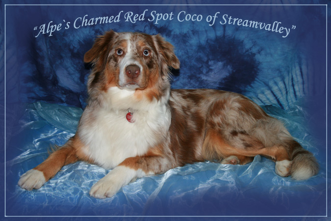 Coco-2-Jahre-alt