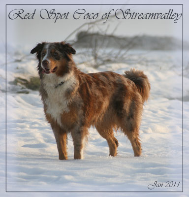 Coco-Jan2011
