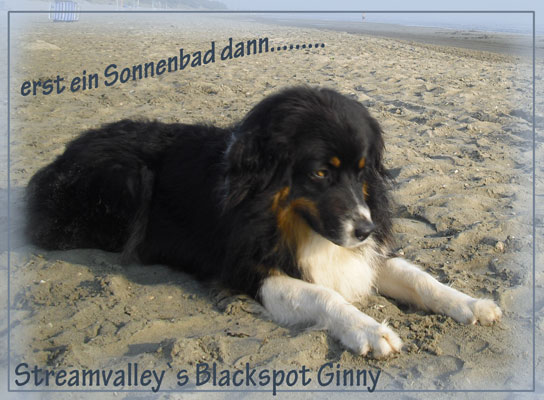 Ginny-meer-2