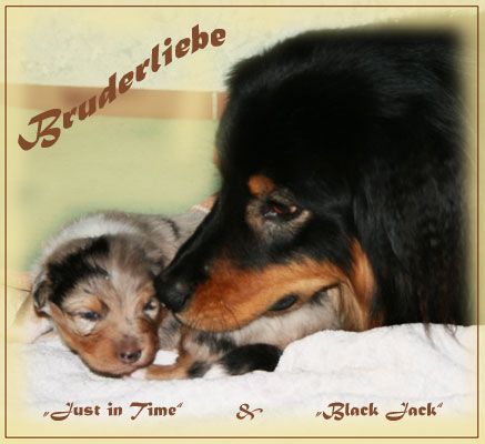 Jack-und-Timer1