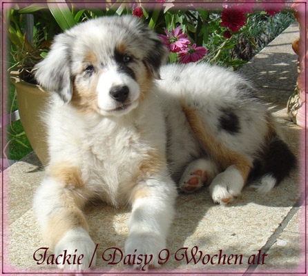 Jacki-9-Wochen-alt