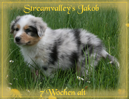 Jakob-9.4.