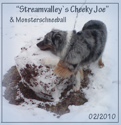 Joe-Monsterschneeball1