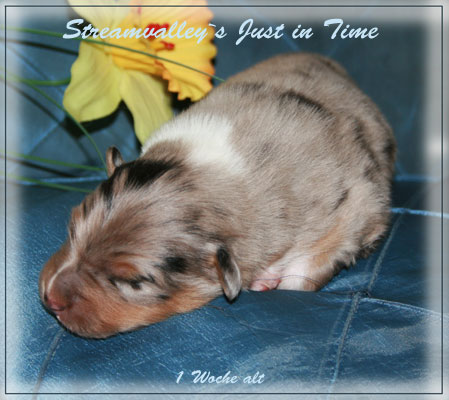 Just-in-Time-1-Woche-1