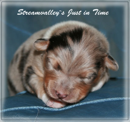 Just-in-Time-1-Woche-3