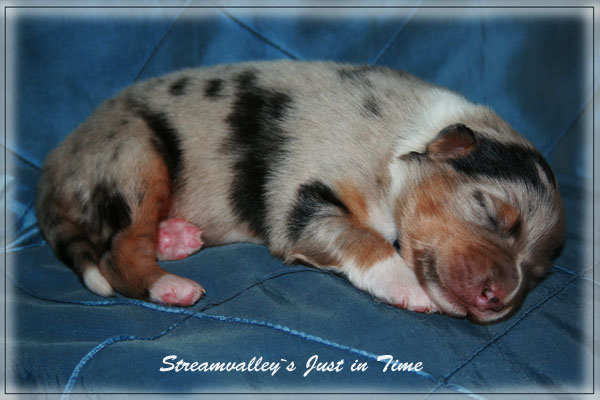 Just-in-Time-1-Woche-7