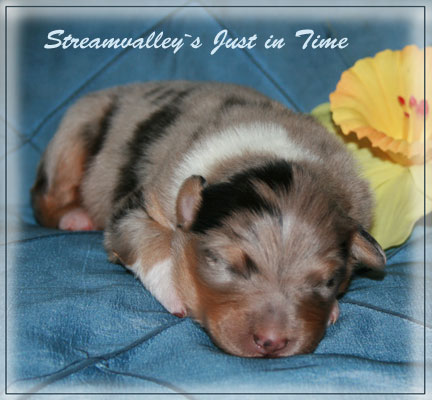 Just-in-Time-1-Woche2