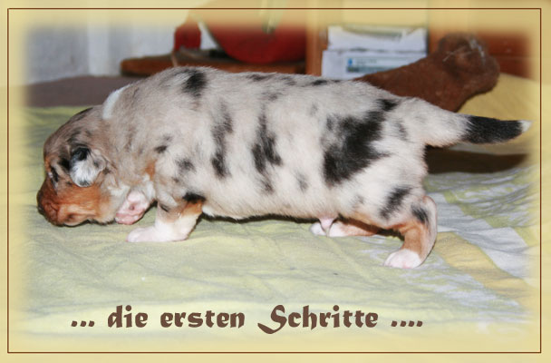 Just-in-Time-3-Wochen-10