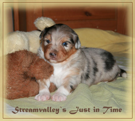 Just-in-Time-3-Wochen-8