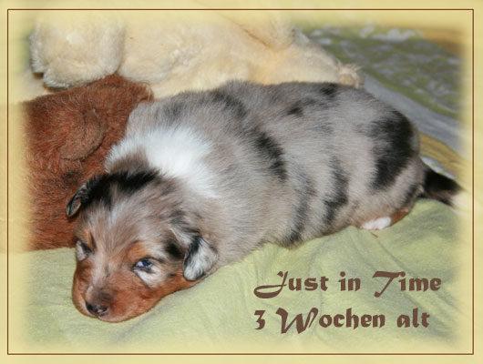 Just-in-Time-3-Wochen-9