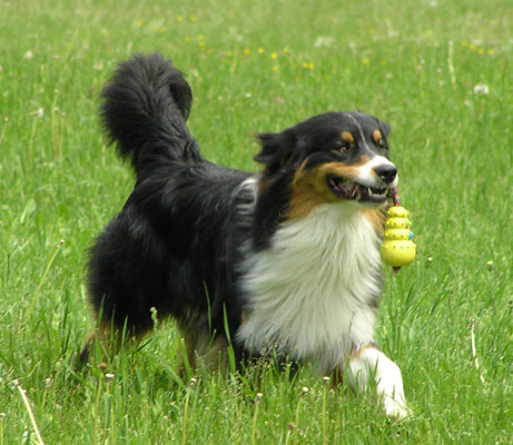 Justin-besuch1