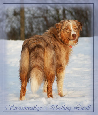 Lucill-Jan-4
