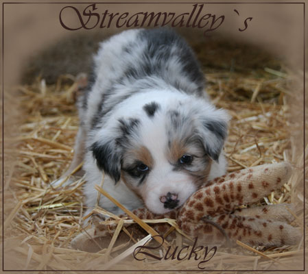 Lucky-5-wochen-1