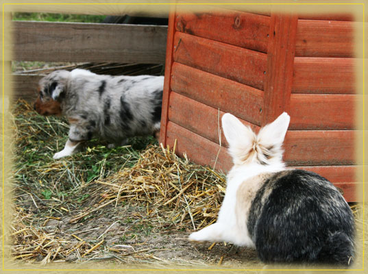 Timer-4-Wochen-4