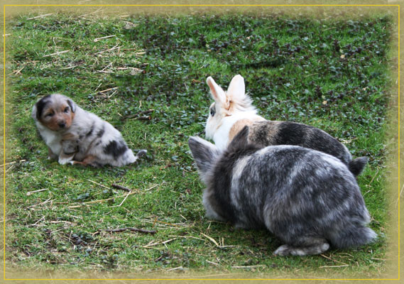 Timer-4-Wochen-5
