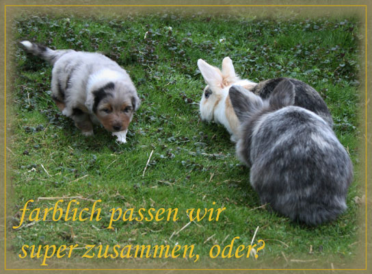 Timer-4-Wochen-7
