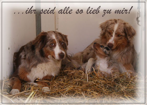 Timer-5-Wochen-11