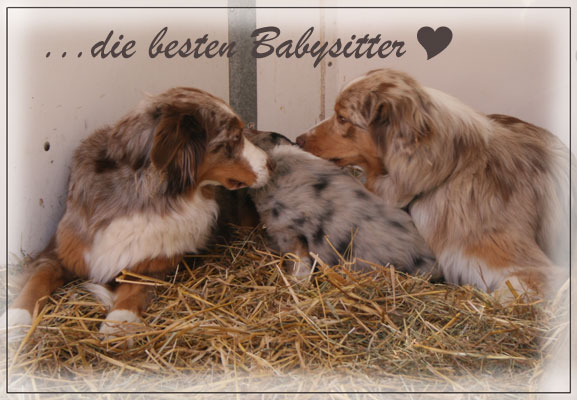 Timer-5-Wochen-12