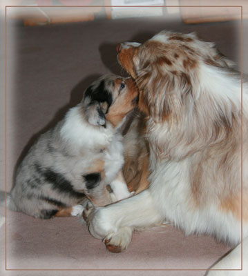 Timer-5-Wochen-2