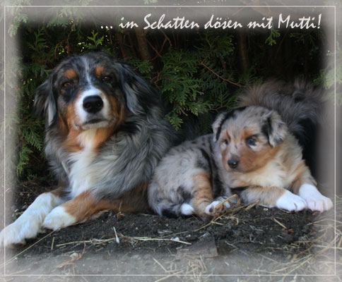 Timer-5-Wochen-20