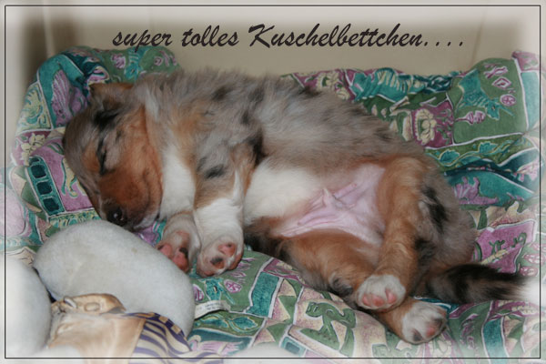Timer-5-Wochen-9