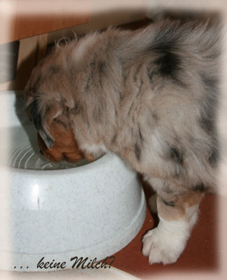 Timer-5-Wochen-Wassser