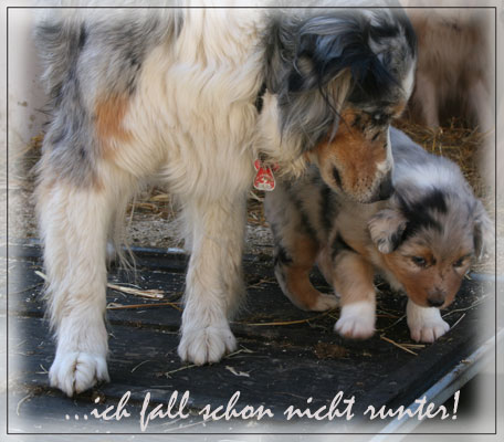 Timer-5-Wochen-alt-038
