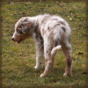 coco-12-wochen-10