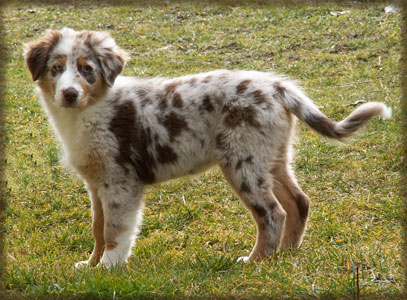 coco-12-wochen-8