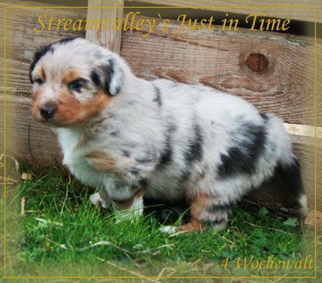timer-4-Wochen-9
